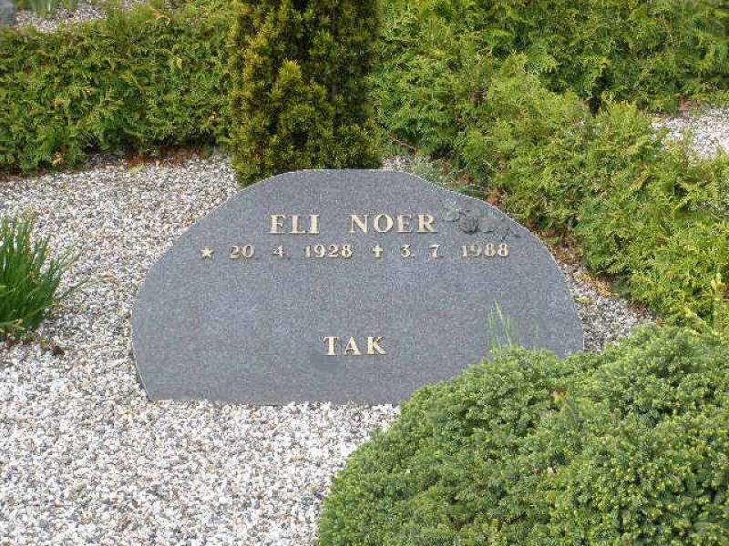 Eli Noer.JPG
